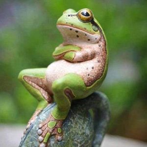 Meet your Posher, Paul